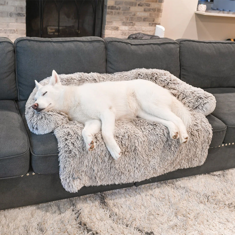 Protecteur de Lit pour Chien | Imperméable et Doux avec Antidérapant