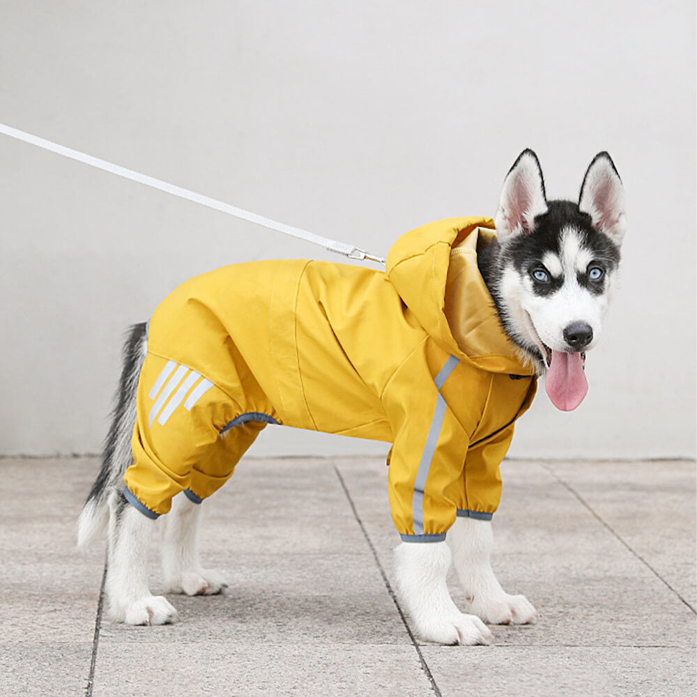 Imperméable pour Chien Réglable | Protection Ultime sous la Pluie