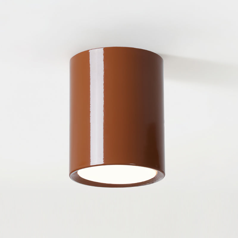 Luminaire de Plafond Élégant | Éclairage Doux et Diffus pour Intérieur