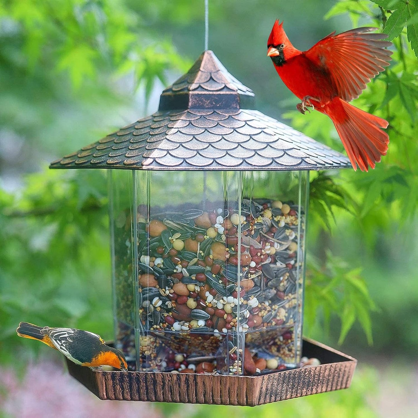 Mangeoire à Oiseaux Suspendue | Élégante et Durable avec Réservoir Transparent