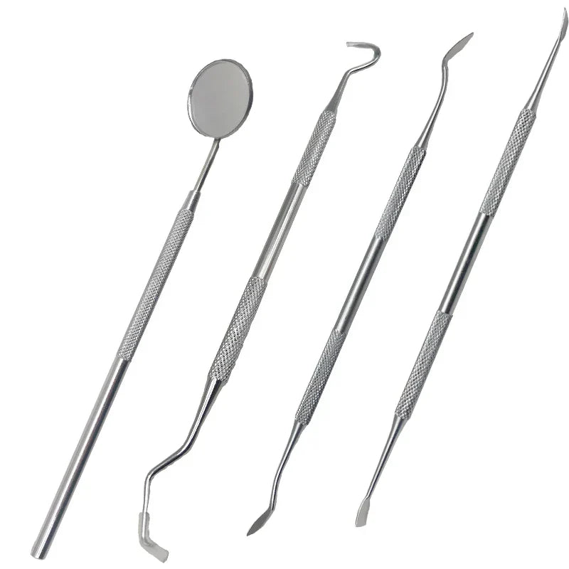 Outils Dentaires en Acier Inoxydable | Nettoyage Professionnel à Domicile