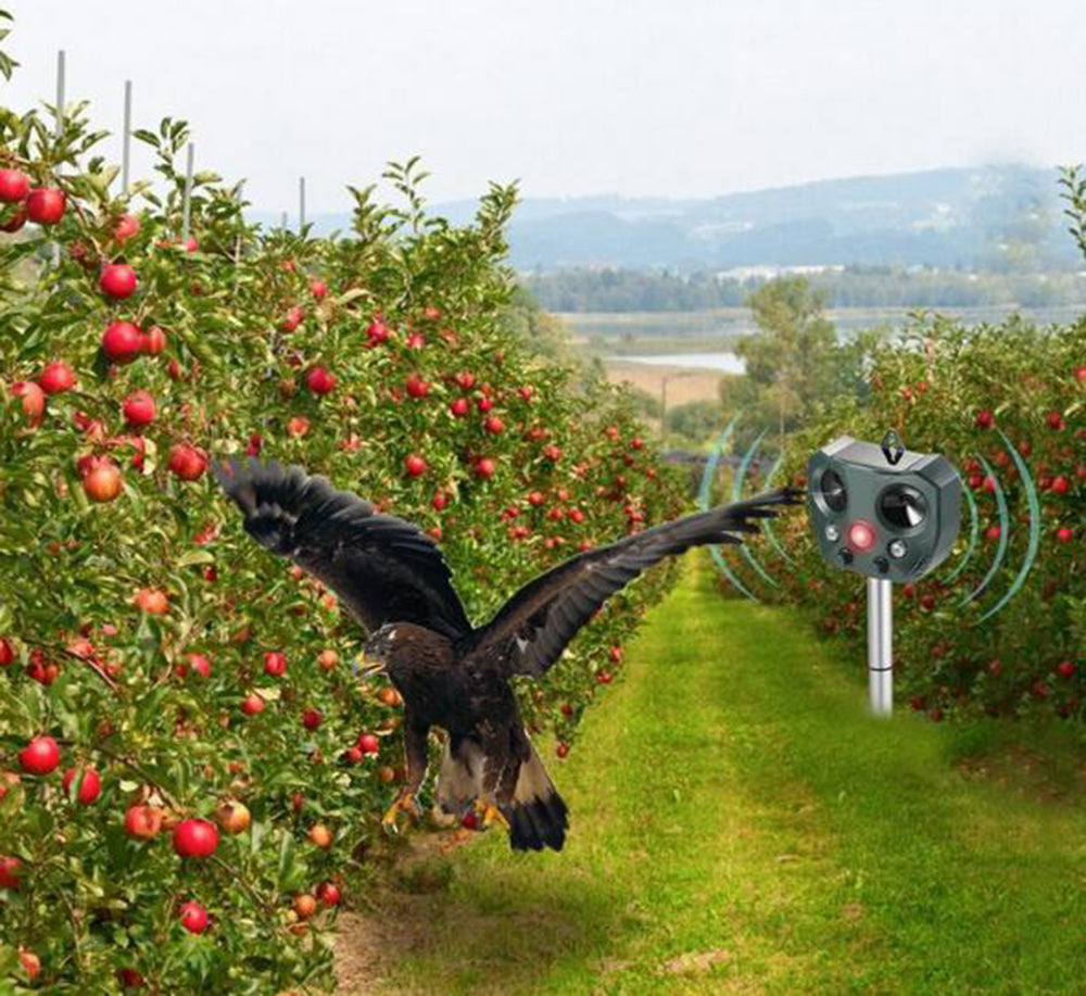 Répulsif Ultrasonique pour Oiseaux Solaire | Écologique et Longue Portée
