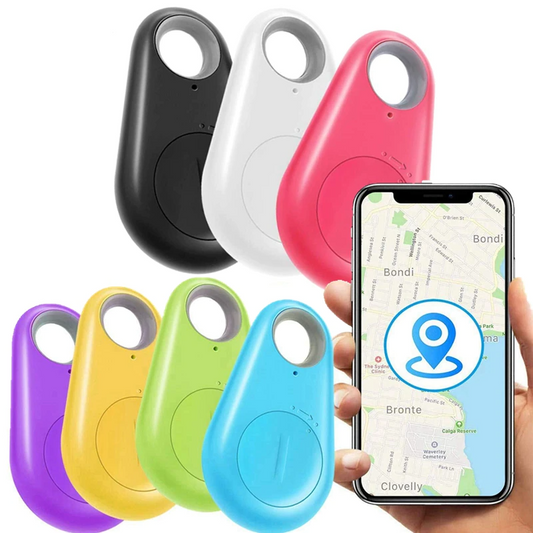 Traceur GPS pour Animaux de Compagnie | Suivi en Temps Réel et Léger