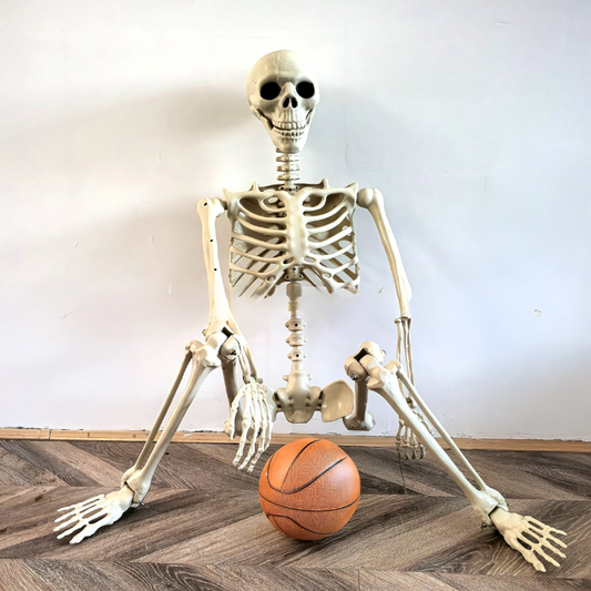 Squelette Halloween Réaliste 170 cm | Décoration Extérieure Posable Effrayante