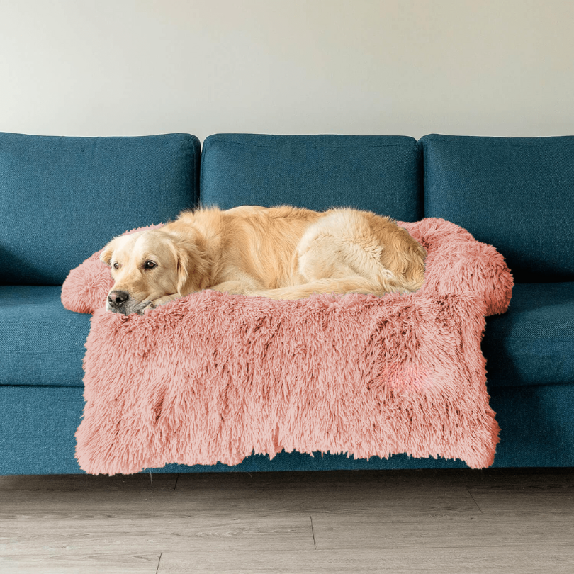 Protecteur de Lit pour Chien | Imperméable et Doux avec Antidérapant