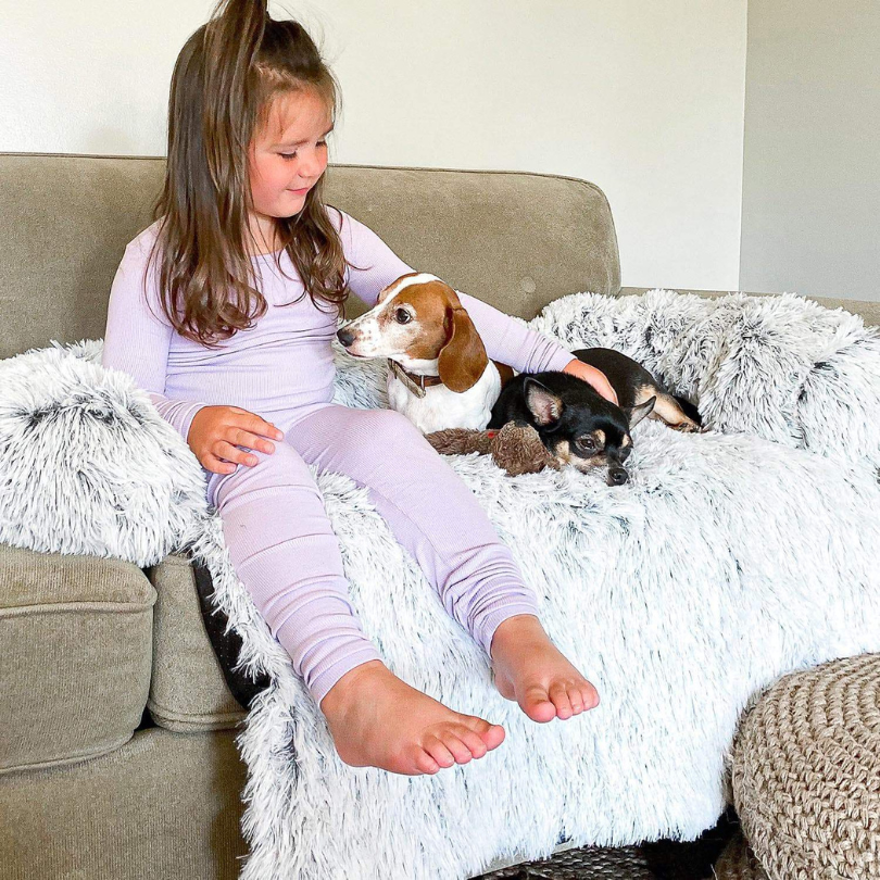 Protecteur de Lit pour Chien | Imperméable et Doux avec Antidérapant