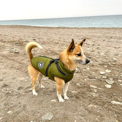 Manteau Imperméable pour Chien | Harnais Intégré et Confort Optimal