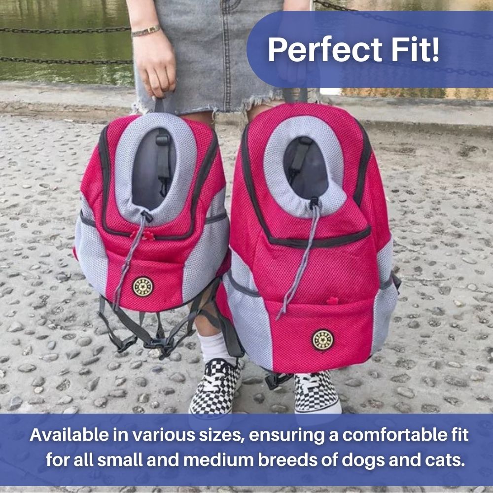 Sac à Dos pour Chien Ajustable | Maille Respirante et Rangement Pratique