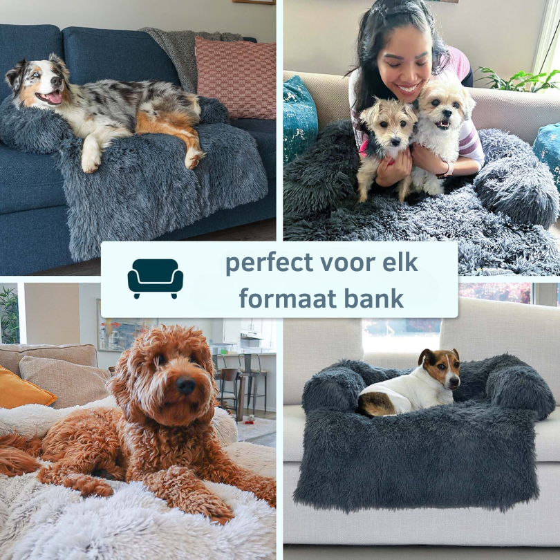 Protecteur de Lit pour Chien | Imperméable et Doux avec Antidérapant