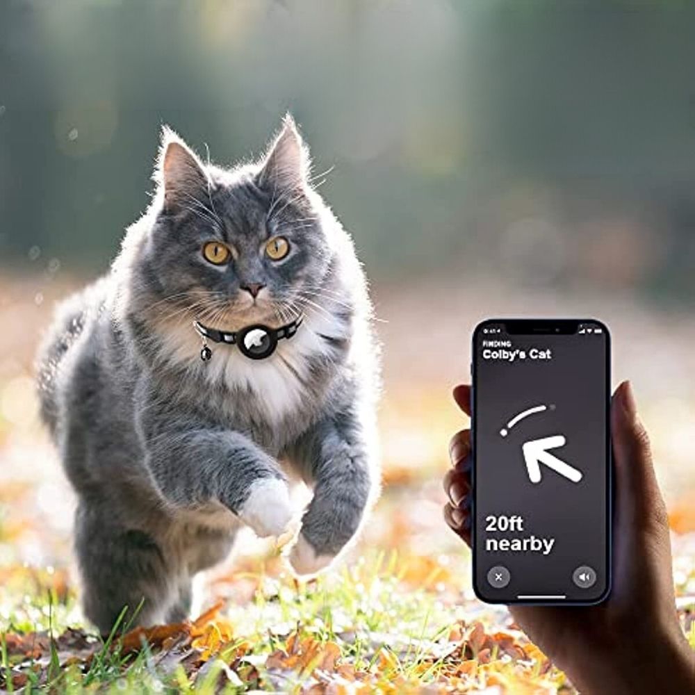 Collier GPS pour Chat | Design Réfléchissant et Sécurisé