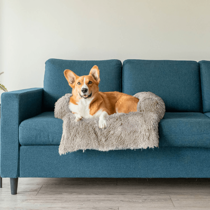 Protecteur de Lit pour Chien | Imperméable et Doux avec Antidérapant
