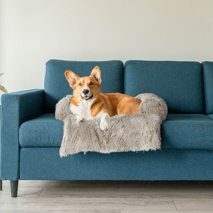 Protecteur de Lit pour Chien | Imperméable et Doux avec Antidérapant