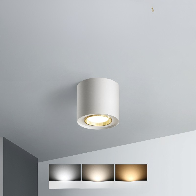 Luminaire de Plafond Rond Élégant | Éclairage Économe en Énergie et Polyvalent