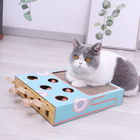 Parc à Chats Interactif 3-en-1 | Jouet Écologique et Gain de Place