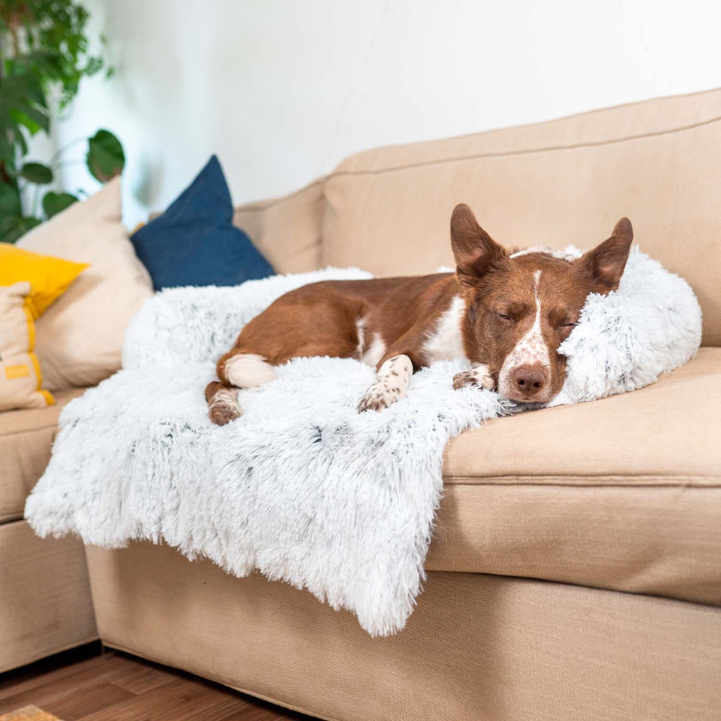 Protecteur de Lit pour Chien | Imperméable et Doux avec Antidérapant