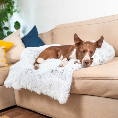Protecteur de Lit pour Chien | Imperméable et Doux avec Antidérapant