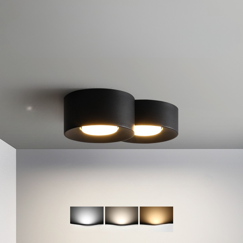 Luminaire de Plafond Rond Élégant | Éclairage Économe en Énergie et Polyvalent