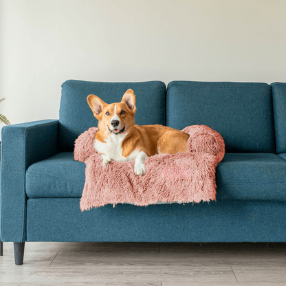 Protecteur de Lit pour Chien | Imperméable et Doux avec Antidérapant