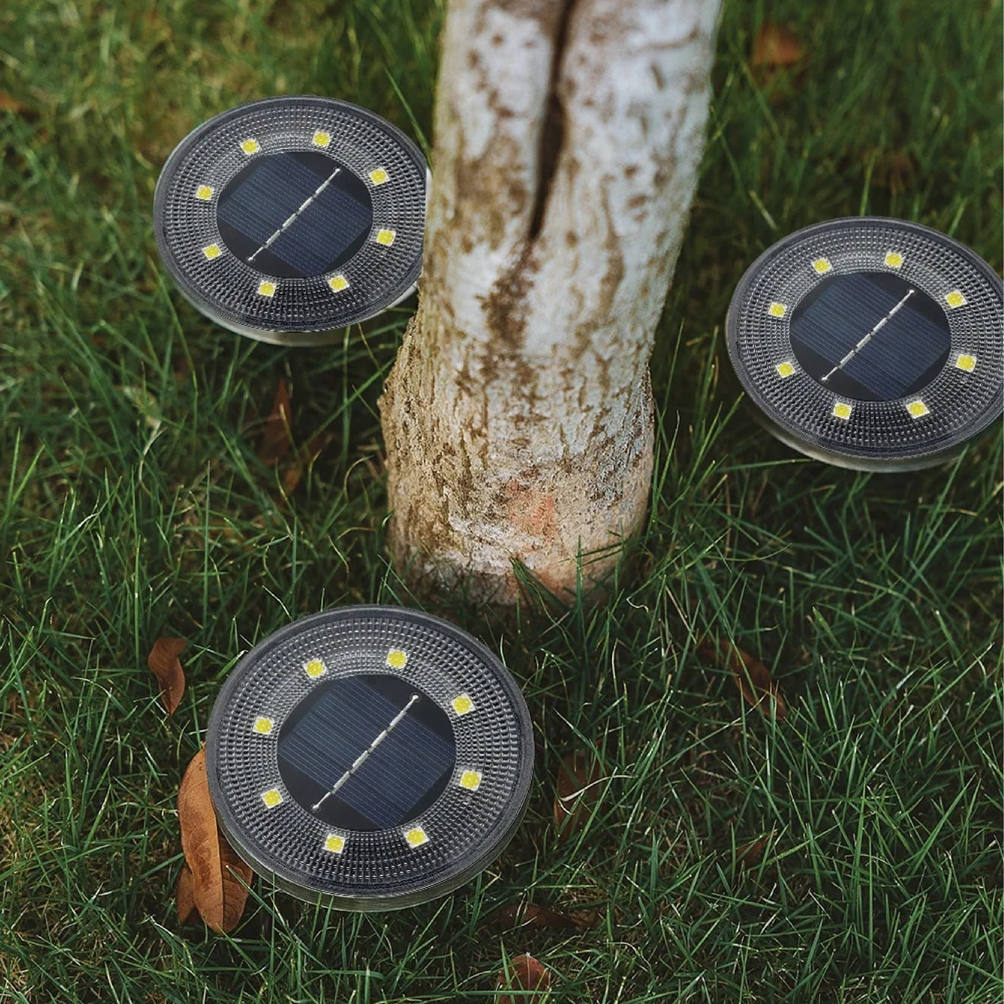 Lumières Solaires de Jardin | Éclairage LED Étanche et Écologique