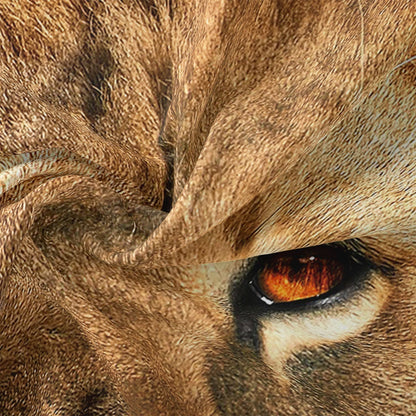 Linge de Lit Lion Luxueux | Ambiance Aventureuse et Confortable