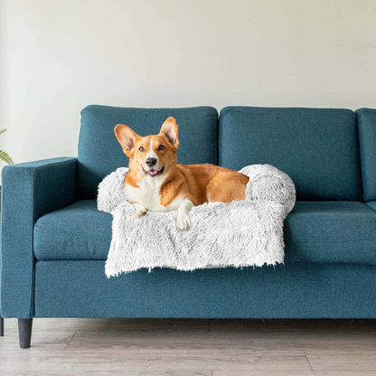 Protecteur de Lit pour Chien | Imperméable et Doux avec Antidérapant
