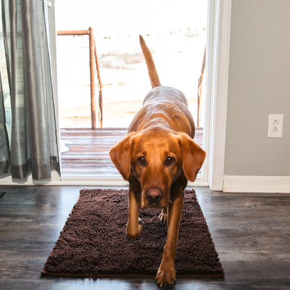 Tapis Absorbant pour Chien | Antidérapant et Lavable en Machine