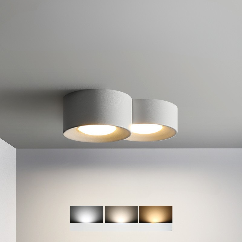 Luminaire de Plafond Rond Élégant | Éclairage Économe en Énergie et Polyvalent