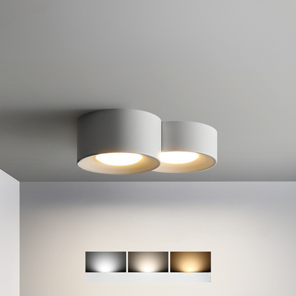 Luminaire de Plafond Rond Élégant | Éclairage Économe en Énergie et Polyvalent