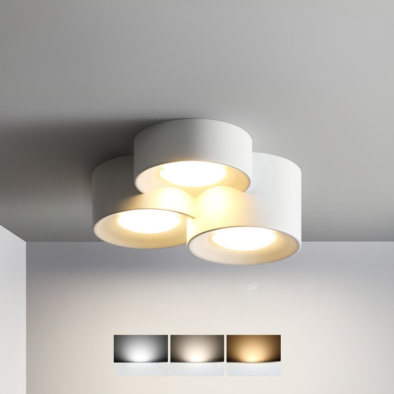 Luminaire de Plafond Rond Élégant | Éclairage Économe en Énergie et Polyvalent