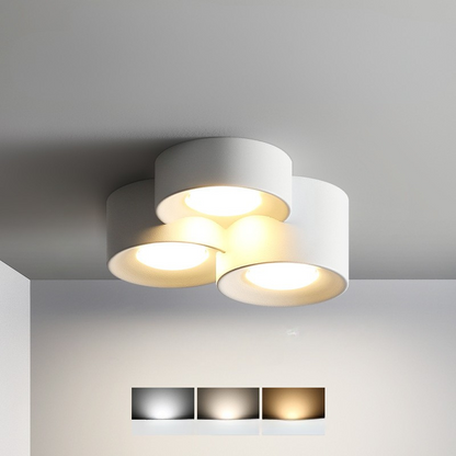 Luminaire de Plafond Rond Élégant | Éclairage Économe en Énergie et Polyvalent