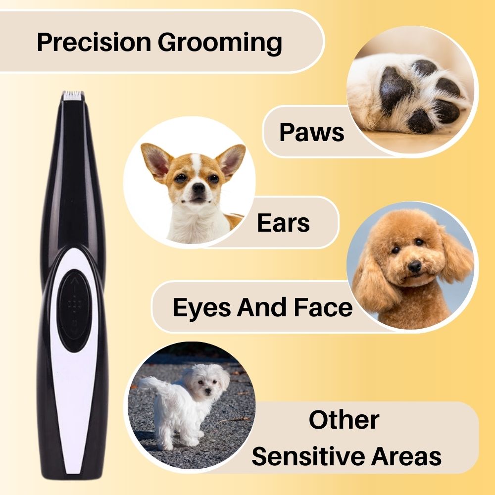Tondeuse Professionnelle pour Animaux | Technologie Ultra-Silencieuse et Ergonomique
