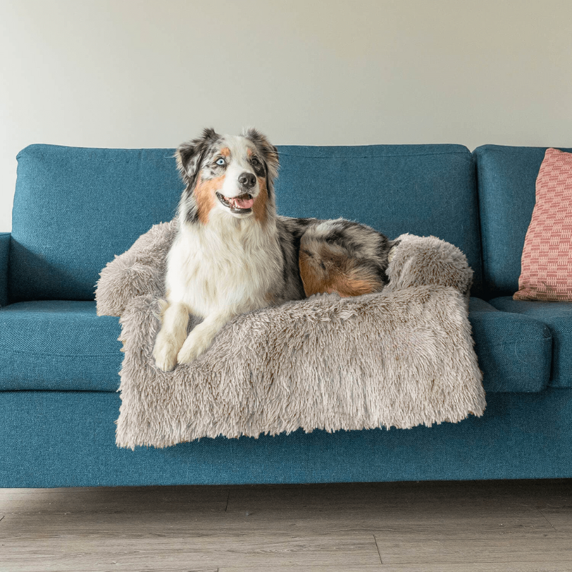 Protecteur de Lit pour Chien | Imperméable et Doux avec Antidérapant