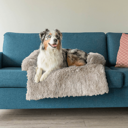 Protecteur de Lit pour Chien | Imperméable et Doux avec Antidérapant
