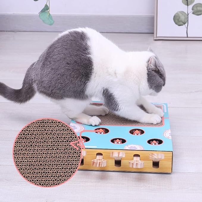 Parc à Chats Interactif 3-en-1 | Jouet Écologique et Gain de Place