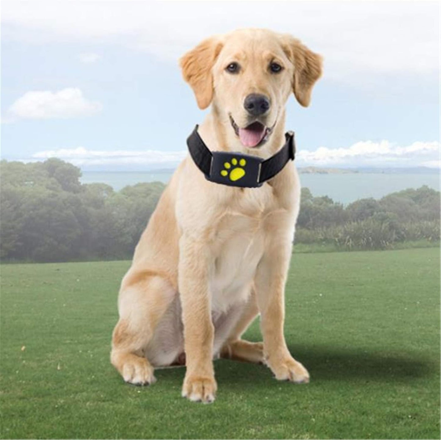 Helvia - PurrLux Elite GPS Tracker for Pets | Système de suivi de luxe avec mises à jour en temps réel et garantie de sécurité