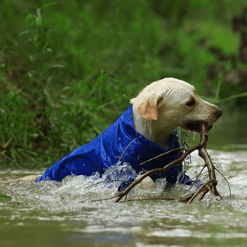 PluiePaw - Manteau Imperméable Réfléchissant pour Chien, Combinaison à Capuche Fermeture Éclair
