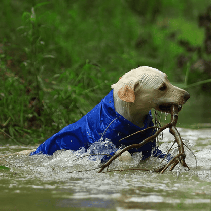 PluiePaw - Manteau Imperméable Réfléchissant pour Chien, Combinaison à Capuche Fermeture Éclair