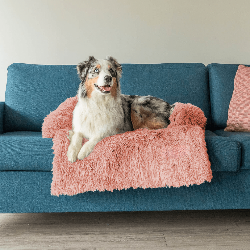 Protecteur de Lit pour Chien | Imperméable et Doux avec Antidérapant