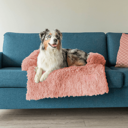Protecteur de Lit pour Chien | Imperméable et Doux avec Antidérapant