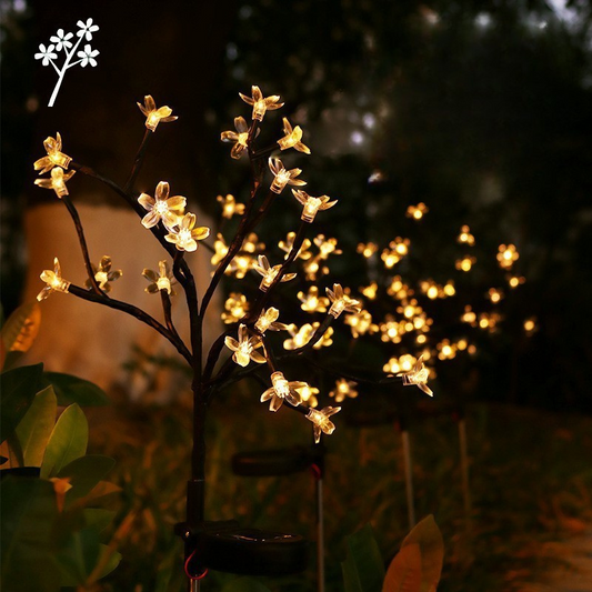 Lampes Solaires de Jardin | Éclairage Écologique avec 15 LED Blanches