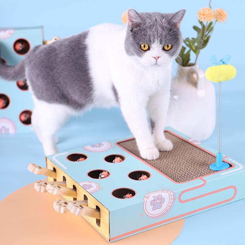 Parc à Chats Interactif 3-en-1 | Jouet Écologique et Gain de Place