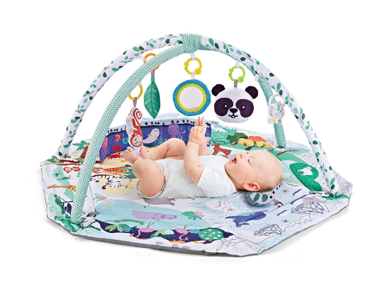 Tapis de Jeu Multifonction 8-en-1 | 6 Jouets Sensoriels Détachables et Doux