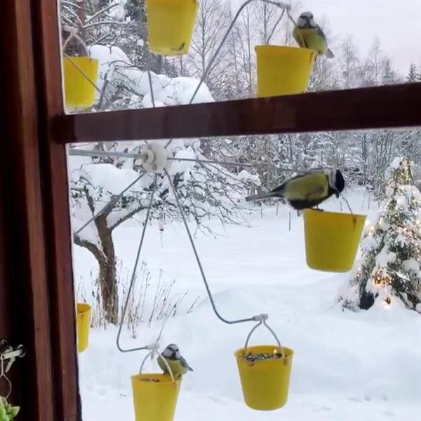 Nourrisseur à Oiseaux en Métal Jaune | Design Unique et Résistant aux Intempéries