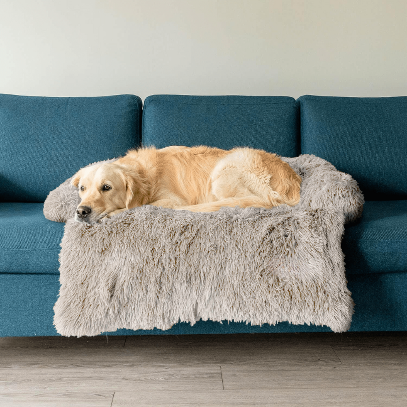 Protecteur de Lit pour Chien | Imperméable et Doux avec Antidérapant