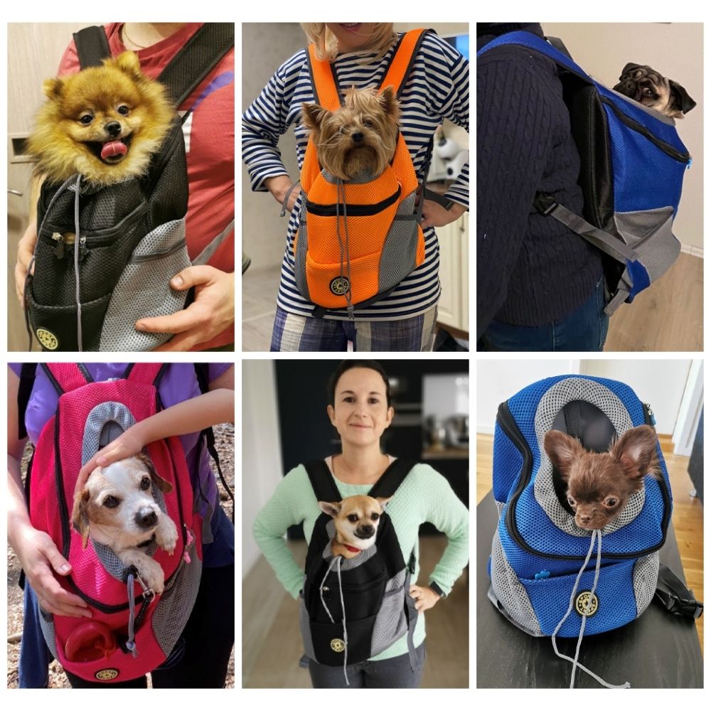 Sac à Dos pour Chien Ajustable | Maille Respirante et Rangement Pratique