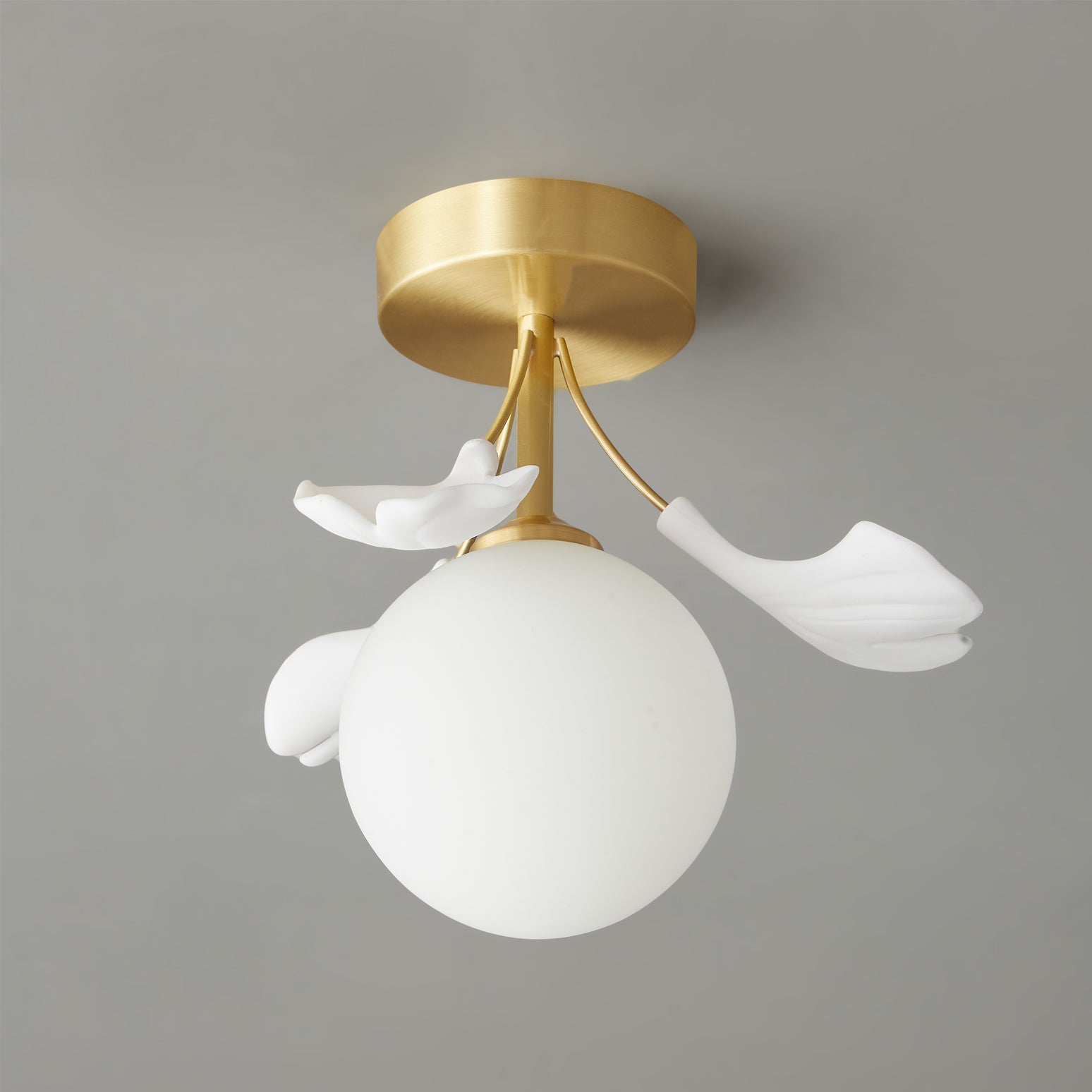 Lumière de Plafond Moderne | Design Élégant Inspiré par la Nature