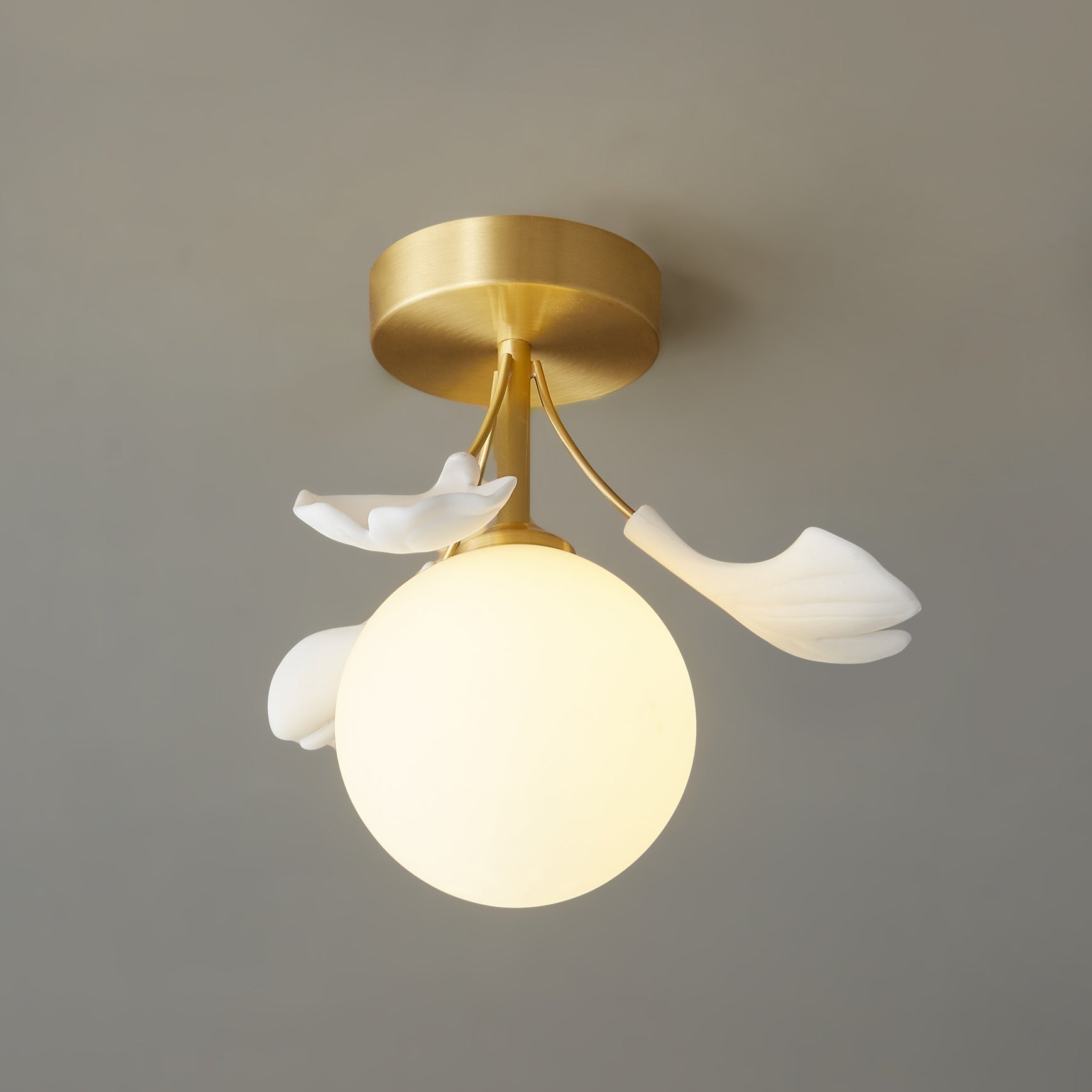 Lumière de Plafond Moderne | Design Élégant Inspiré par la Nature