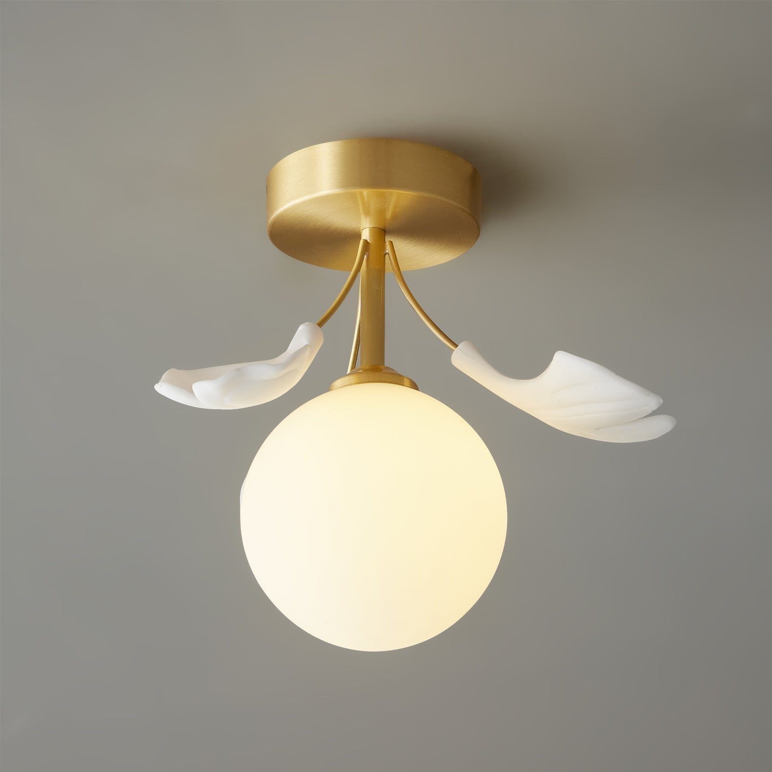 Lumière de Plafond Moderne | Design Élégant Inspiré par la Nature