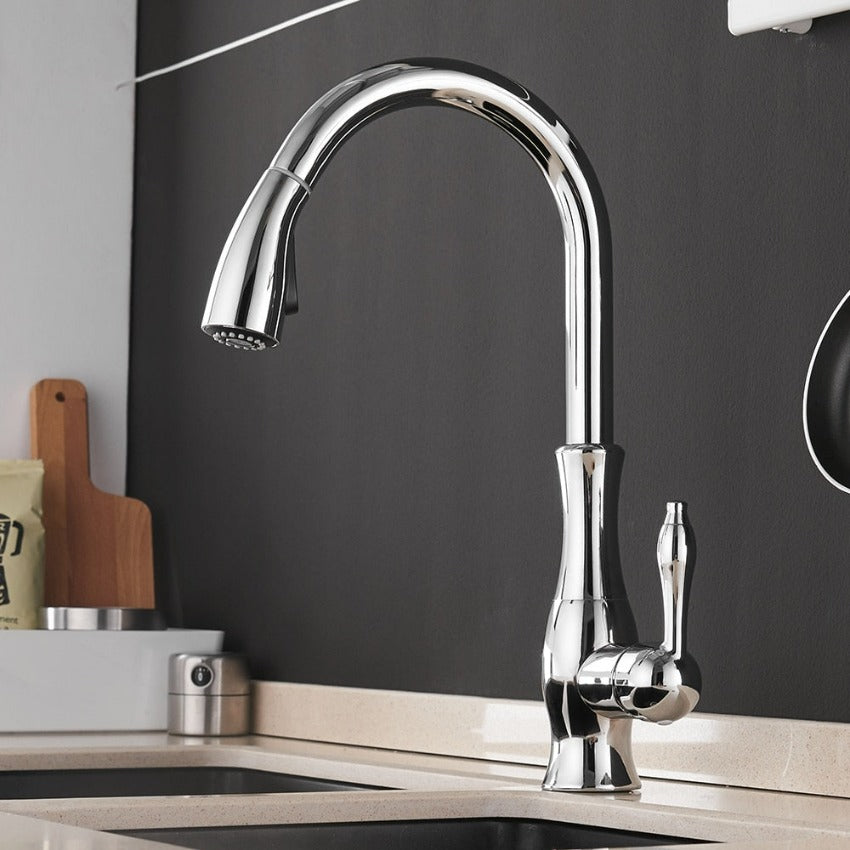 Robinet de Cuisine Rétractable | Élégance et Flexibilité Pratiques