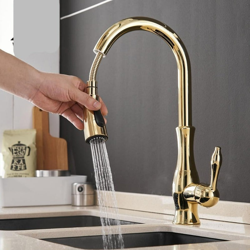 Robinet de Cuisine Rétractable | Élégance et Flexibilité Pratiques
